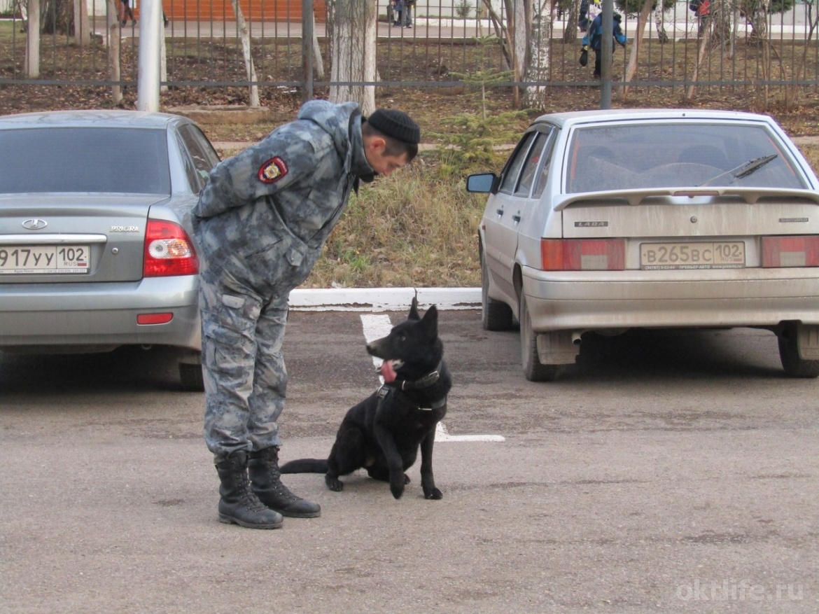 Познакомились с буднями полиции