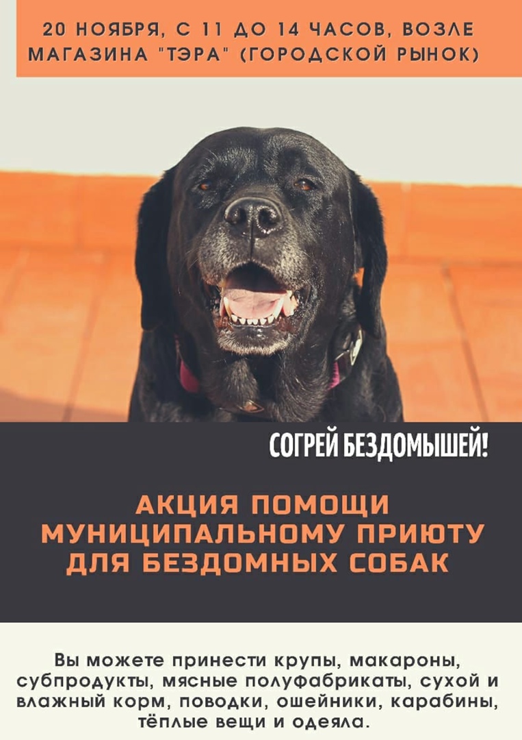 Акция помощи муниципальному приюту для бездомных животных