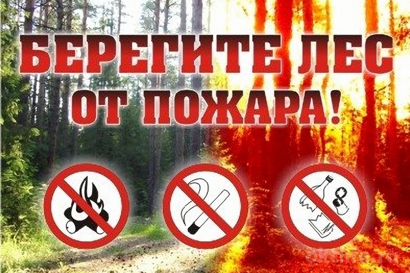 Введен особый противопожарный режим