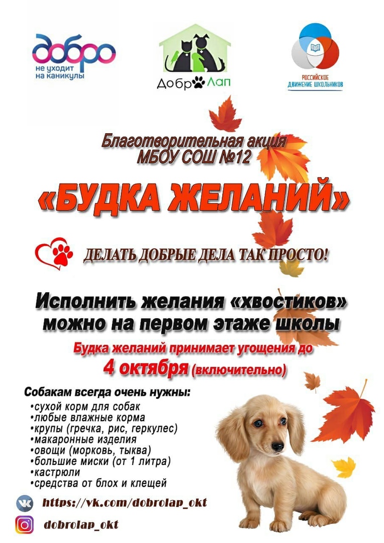 Благотворительная акция «Будка желаний»